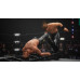AEW Fight Forever (Switch) купить в интернет-магазине ⭐ GameSpot.com.ua ⭐ AEW Fight Forever (Switch), 117950, Спорт