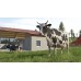 Farming Simulator 26 (Switch) купить в интернет-магазине ⭐ GameSpot.com.ua ⭐ Farming Simulator 26 (Switch), ,
