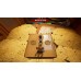 It Takes Two (Switch, російські субтитри), 1127756, Приключения/Экшн