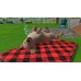 Little Friends Puppy Island (Switch) купить в интернет-магазине ⭐ GameSpot.com.ua ⭐ Little Friends Puppy Island (Switch), ,