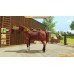My Little Riding Champion (Switch, русская версия), 223326, Приключения/Экшн