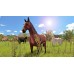 My Little Riding Champion (Switch, русская версия) My Little Riding Champion (Switch, русская версия)