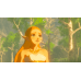 The Legend of Zelda Breath of the Wild (Switch, русская версия), 217915, Приключения/Экшн