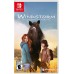 Windstorm An Unexpected Arrival (Switch), ,