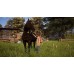 Windstorm An Unexpected Arrival (Switch), ,