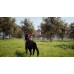 Windstorm An Unexpected Arrival (Switch), ,