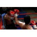 Fight Night Round 4 (PS3) купить в интернет-магазине ⭐ GameSpot.com.ua ⭐ Fight Night Round 4 (PS3), ,
