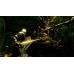 Dark Souls Remastered (PS4, русские субтитры) Б/У, 221097P, РПГ
