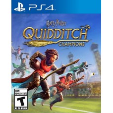 Harry Potter Quidditch Champion..
