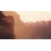 Journey Collectors Edition (PS4), ,