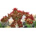 Knack 2 (PS4, русская версия) Б/У