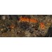 Spellforce III Reforced (Xbox One)