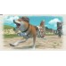Valkyria Chronicles 4 (PS4) Valkyria Chronicles 4 (PS4)