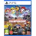 Paw Patrol Rescue Wheels Championship (PS5), ,