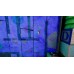 The Plucky Squire (PS5) купить в интернет-магазине ⭐ GameSpot.com.ua ⭐ The Plucky Squire (PS5), ,