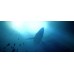 Under The Waves Deluxe Edition (PS5), ,