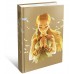 Книга The Legend of Zelda Breath of the Wild Expanded Edition Hardback (твердая обложка), ,