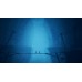Little Nightmares 2 Enhanced Edition (Xbox Series X), ,